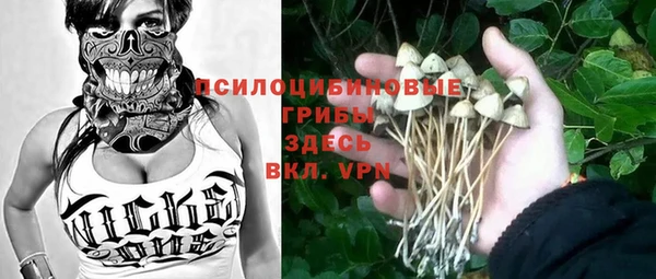 ALPHA PVP Волоколамск