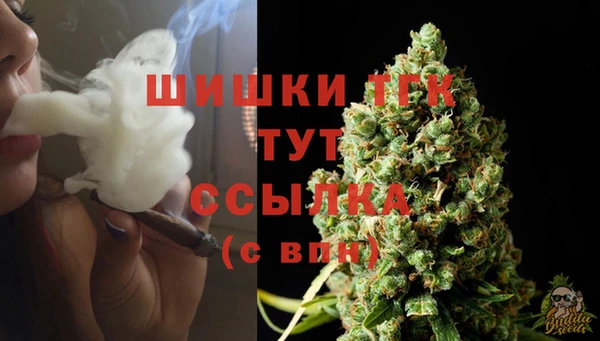 Альфа ПВП Володарск